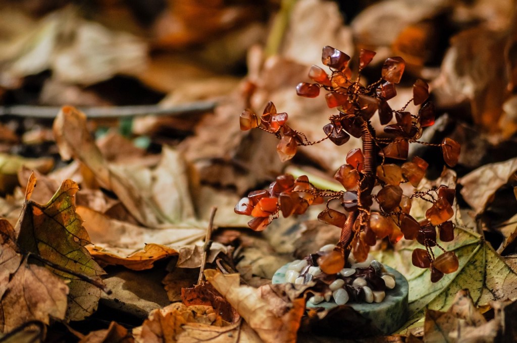 Seasons Change, Learning&nbsp;Stays